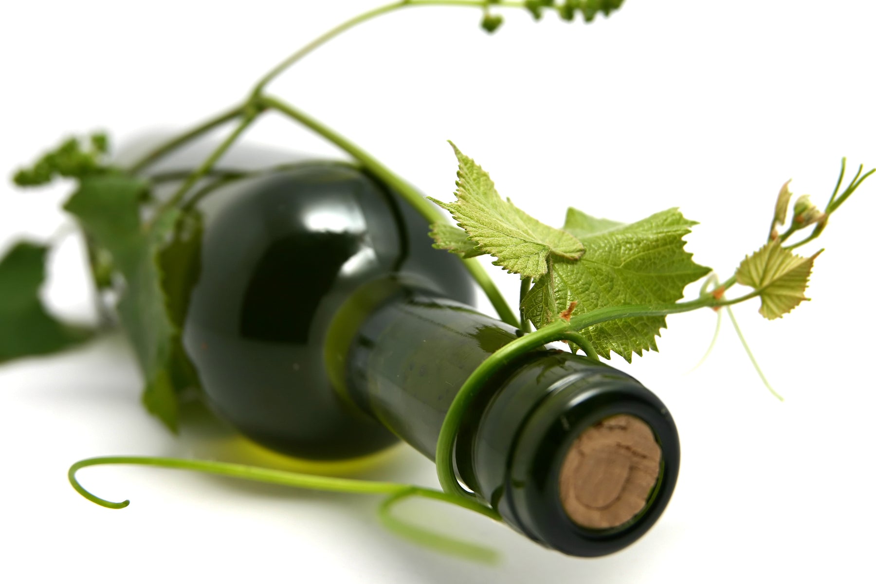 Wine Events