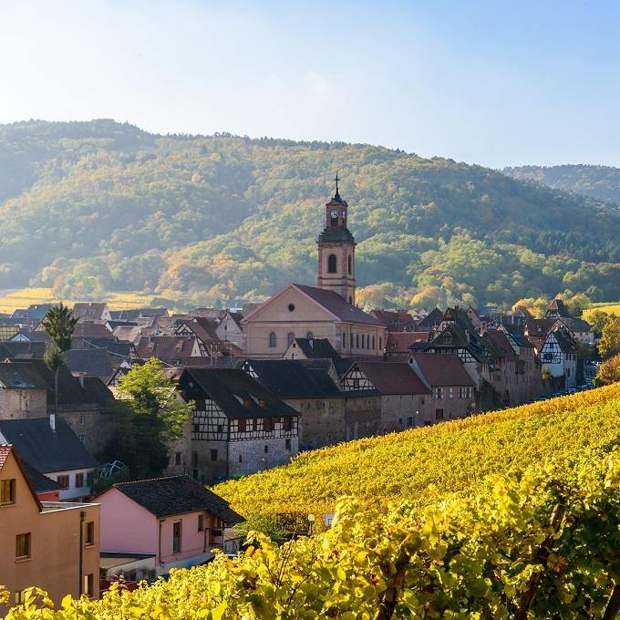 Alsace - France (White Wine) - Christopher Piper Wines Ltd
