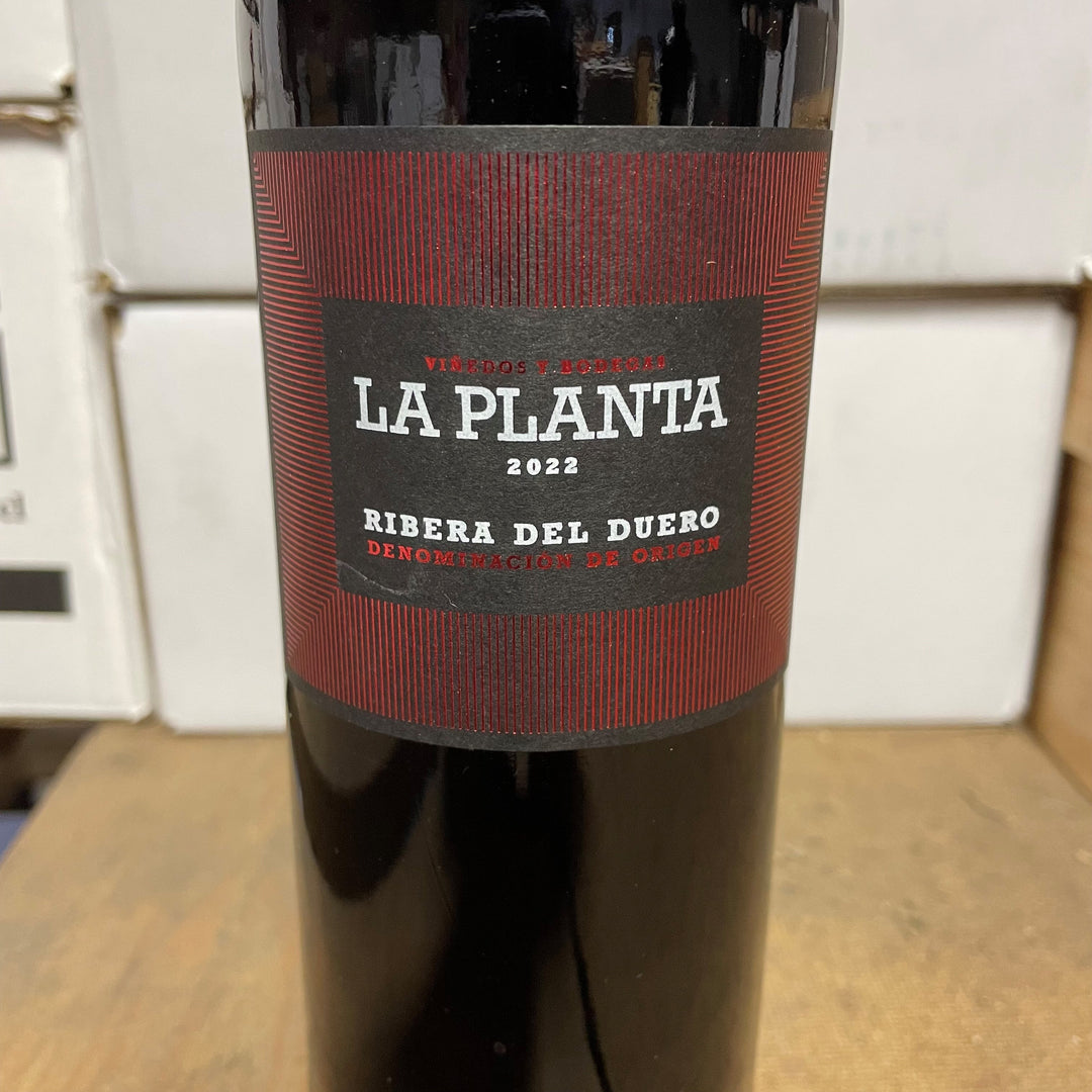 La Planta Ribera del Duero 2022