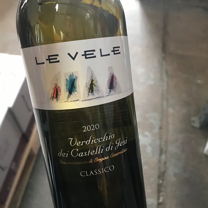 Verdicchio dei Castelli di Jesi Classico 2023 Le Vele