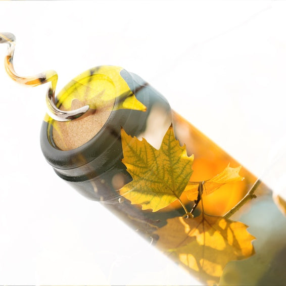 Autumn Tasting Events