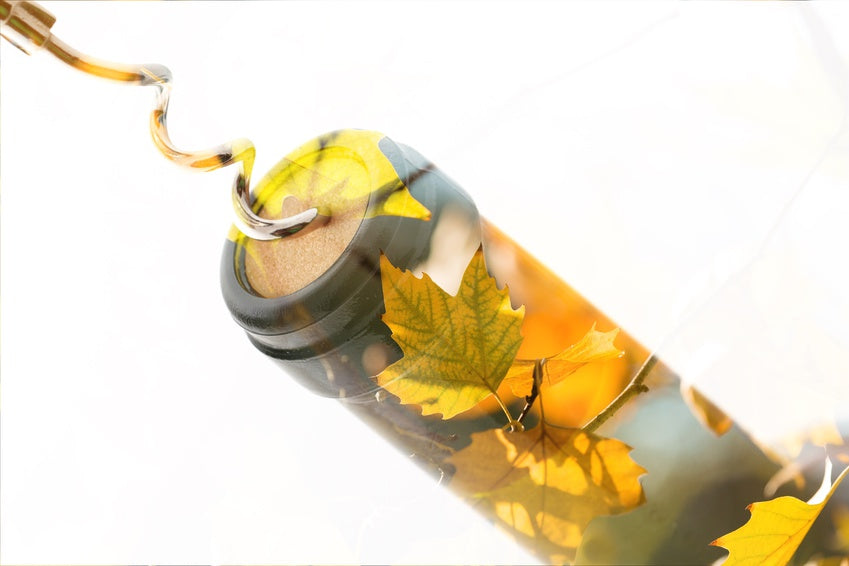 Autumn Tasting Events