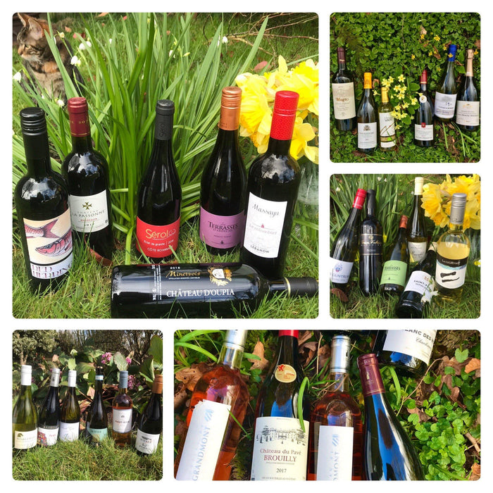 New Mixed Cases of Wine for Spring - Christopher Piper Wines Ltd
