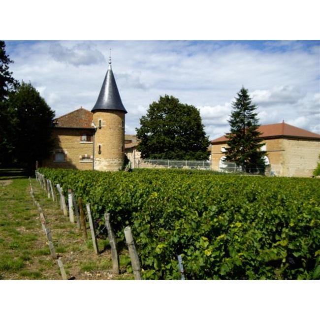 Beaujolais-Villages Nouveau 2020 - Christopher Piper Wines Ltd