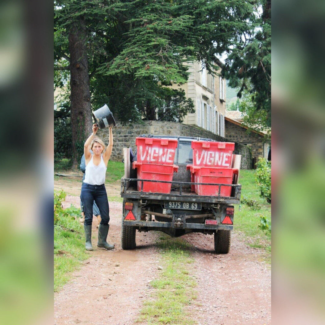 Beaujolais 2019 En Primeur - Christopher Piper Wines Ltd