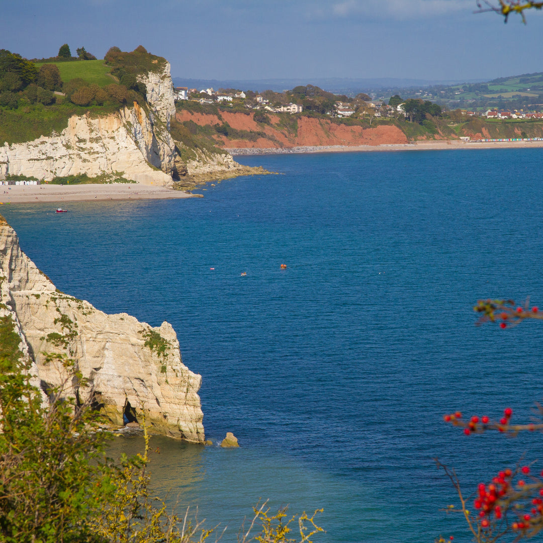 Lyme Bay Winery