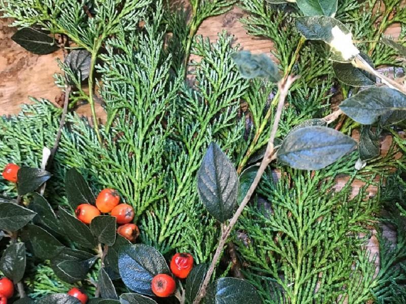 Christmas Collection of Wines - Christopher Piper Wines Ltd