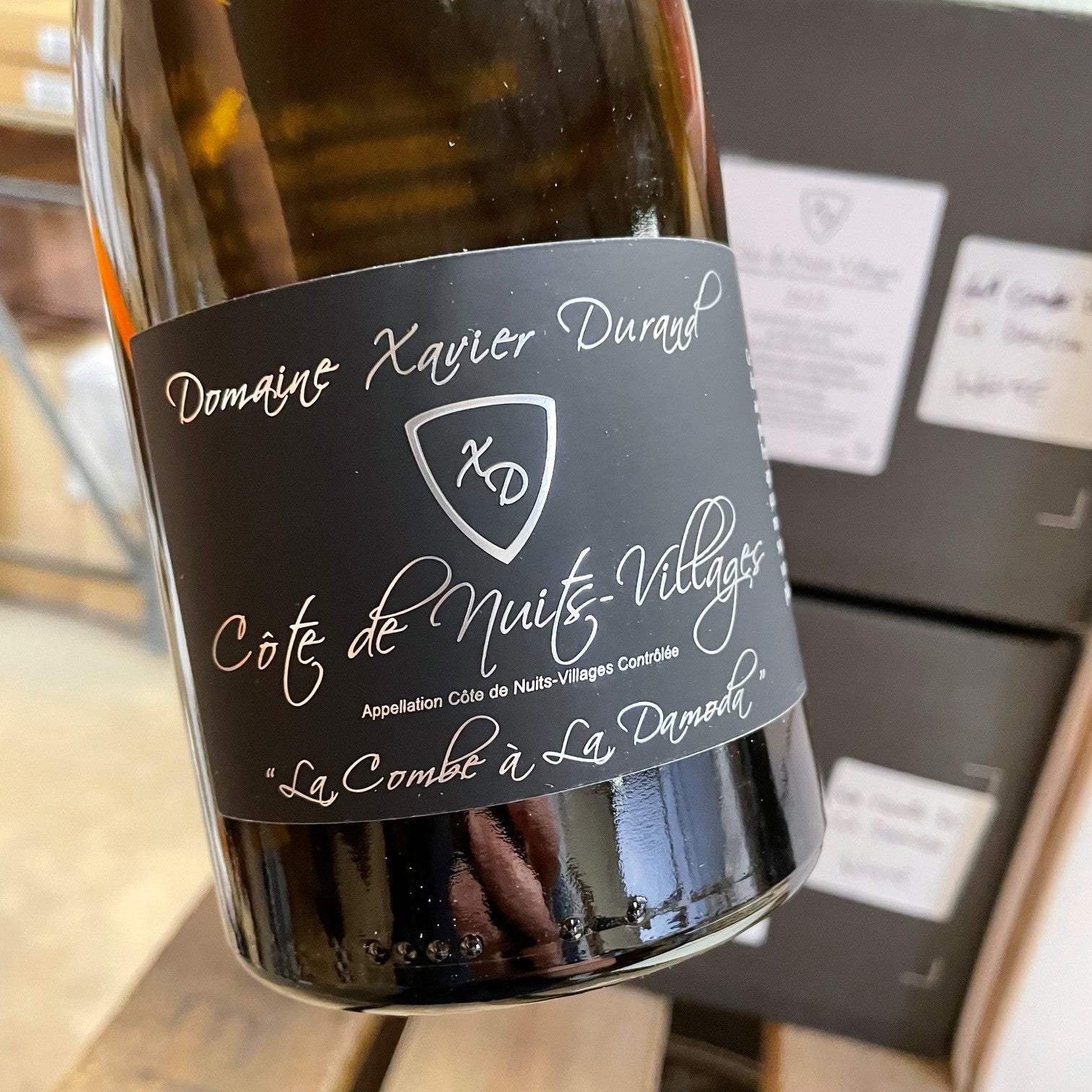 Cote de Nuits Villages Blanc 2023 La Combe a la Damoda, Xavier