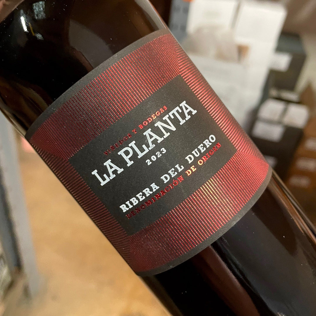 La Planta Ribera del Duero 2023
