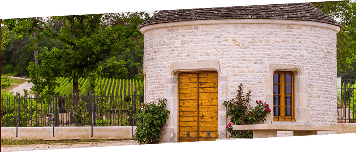 Clos Rocher Brut Vintage 2013 Champagne Gremillet