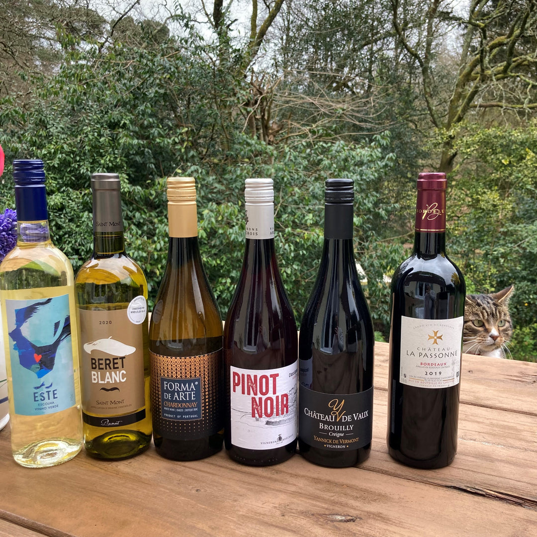 April Selection: Mixed Case of Red & White Wines
