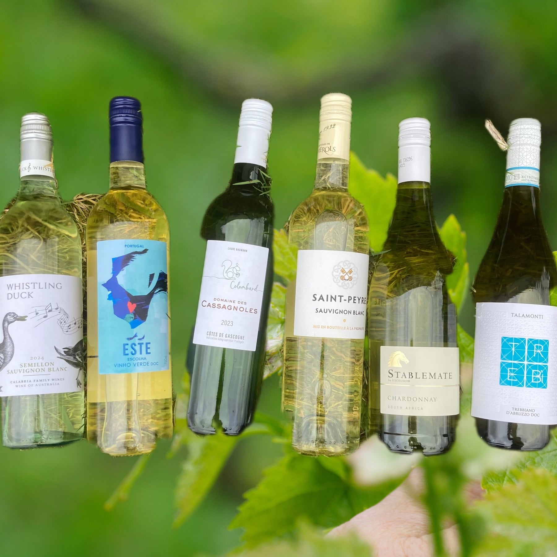 Spring 2025 WHITE Wine Case – Christopher Piper Wines Ltd