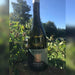 Spago Prosecco Frizzante, Botter, Italy - Christopher Piper Wines Ltd